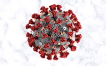 CORONAVIRUS